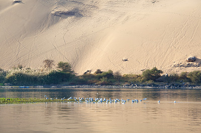 上尼罗河-埃及的大象岛