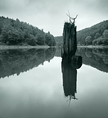 浮木