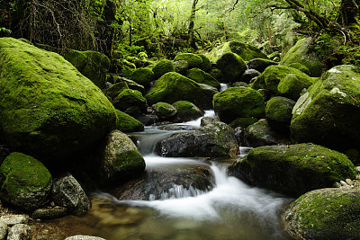 屋久岛
