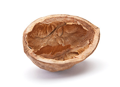 坚果壳