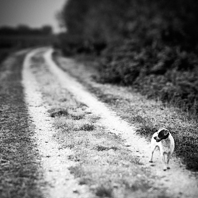 荒野公路