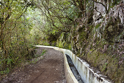 马德拉群岛