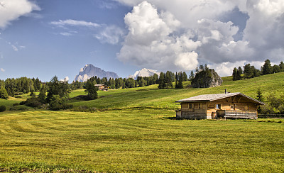 Seiser Alm (Dolomites) -木屋与普拉特科菲尔和Langkofel