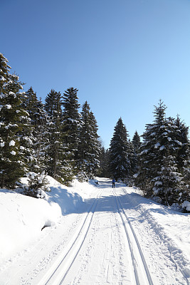 越野滑雪