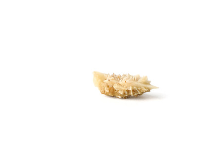 Calcium Oxalate Dihydrate