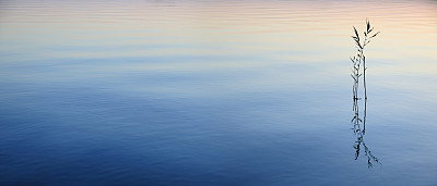日落湖