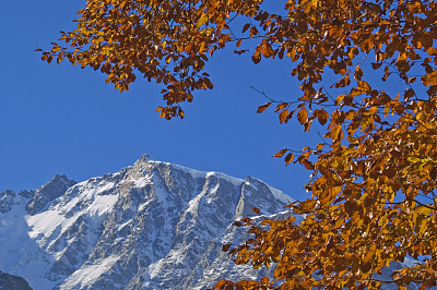 莫堤玫瑰山