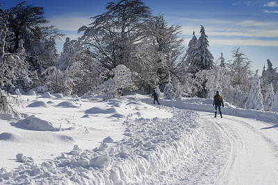 越野滑雪