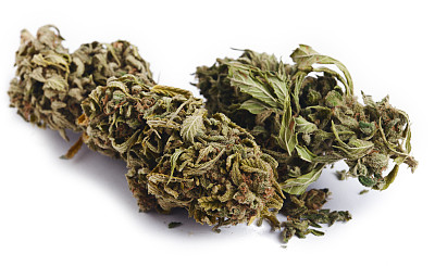 大麻雌花