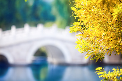 花园路