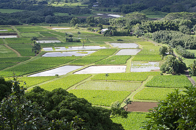 哈纳莱国家野生动物保护区