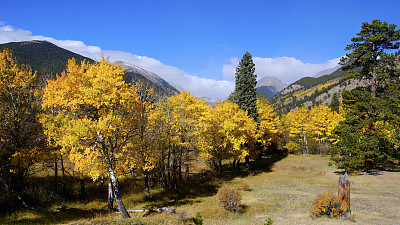 靠近羊湖入口的落基山国家公园