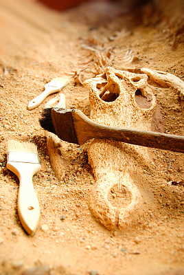 考古用恐龙骨头挖掘