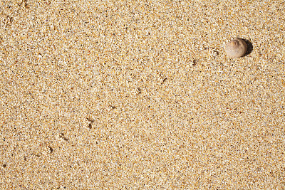 在沙子上留下痕迹的蜗牛
