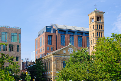 纽约大学