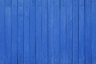 蓝色木栅栏背景。