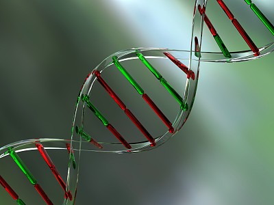 由玻璃构成的DNA结构