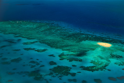 珊瑚海