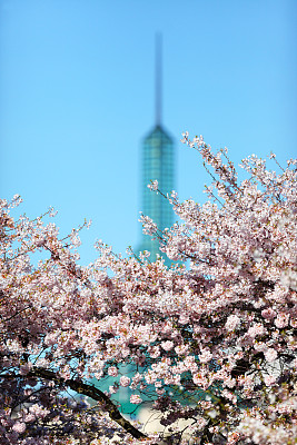 波特兰樱桃树会议中心。