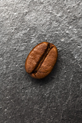 单一的咖啡豆。