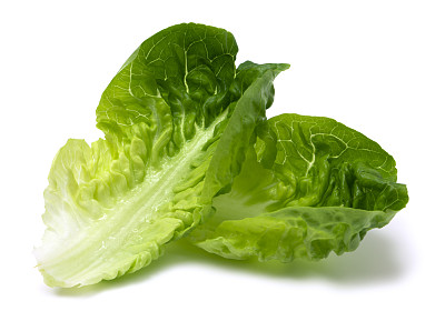 生菜