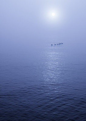 平静的湖面上雾蒙蒙的日出，还有鸭子