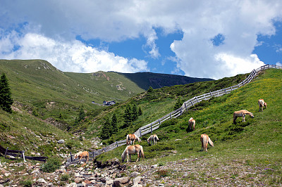 山里的哈夫林格