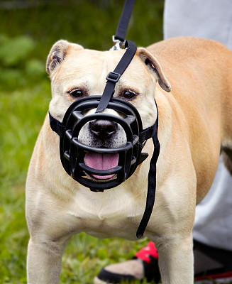 警犬