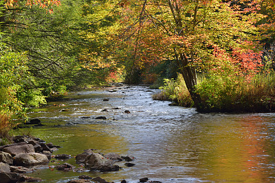 秋天的黑豹溪