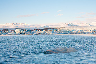 冬天的Jokulsarlon冰湖