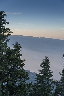 科切拉山谷和棕榈泉