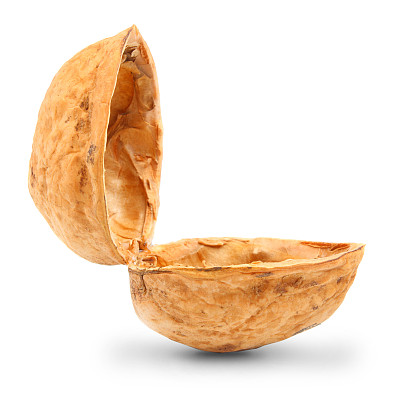 坚果壳
