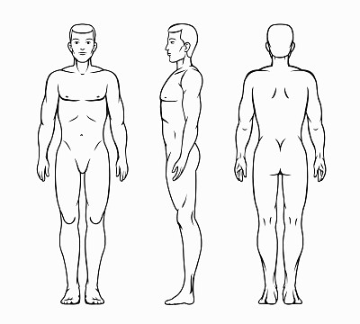 男性身体矢量图