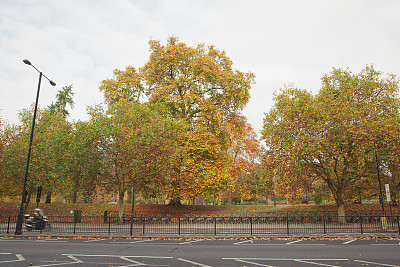 英国伦敦海德公园边的城市自行车