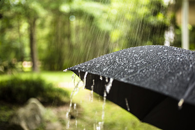 雨天。雨点落在户外的黑色雨伞上。春天,夏天。