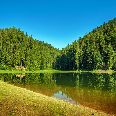 山上有松林湖