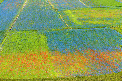 Piano Grande di Castelluccio(意大利)，绿色山丘上的村庄