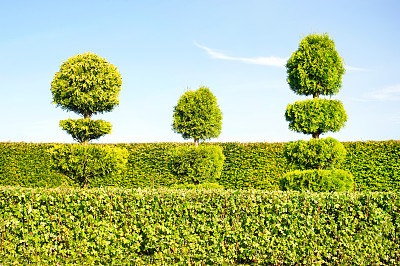 花坛雕塑图片大全 花坛雕塑设计素材 花坛雕塑模板下载 花坛雕塑图库 昵图网soso Nipic Com
