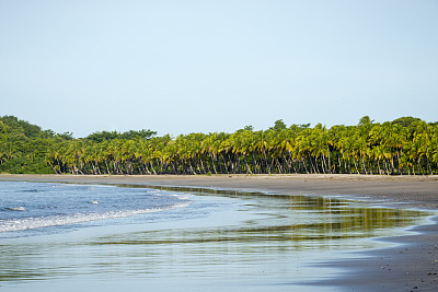 Playa Carrillo