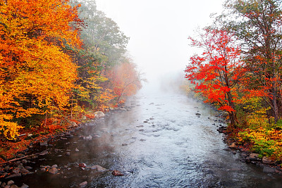 迷雾笼罩在马萨诸塞拓荒者谷的一条河上