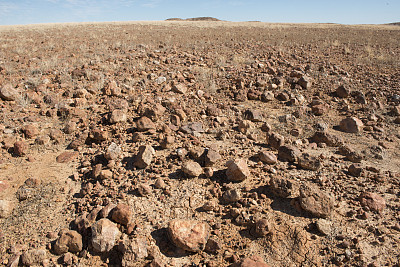 Sturt Stony Desert