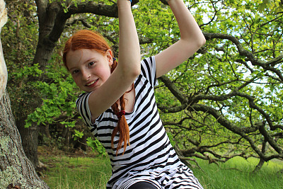 假小子女孩爬橡树的树枝在林地的形象