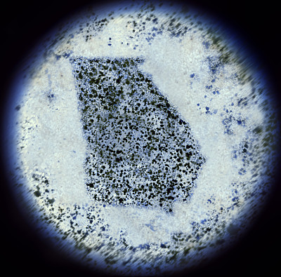 通过显微镜观察成乔治亚形的细菌。(系列)