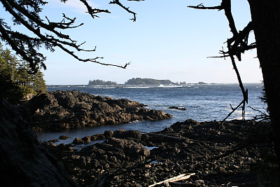 海景