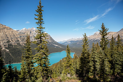 加拿大阿尔伯塔省的佩托湖。风景上有落基山脉。