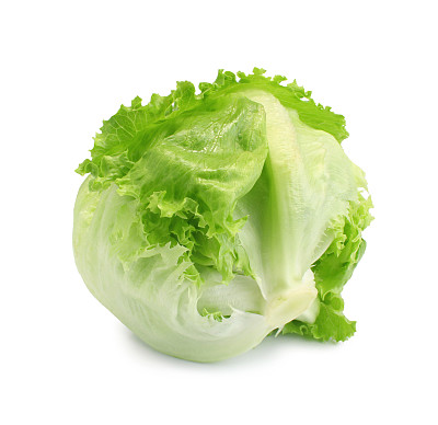 卷心莴苣