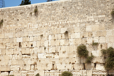 西墙。耶路撒冷。