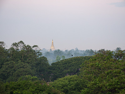 缅甸实兑森林中的宝塔