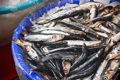 Jagalchi鱼市的新鲜鱼