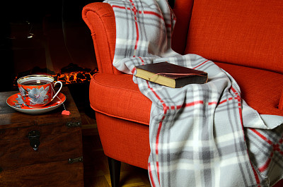 壁炉边放着毯子、书和茶